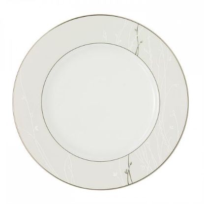 Picture of New Dinner Plate