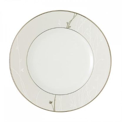 Picture of Salad Plates