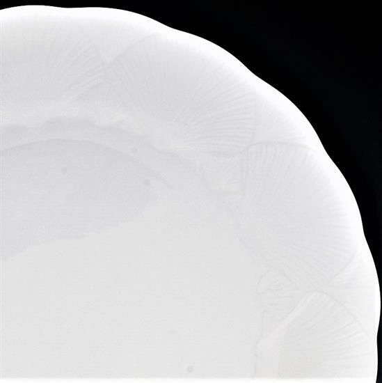 Picture of 5pc. Place Setting