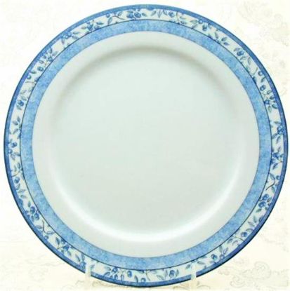 Picture of Dinner Plates