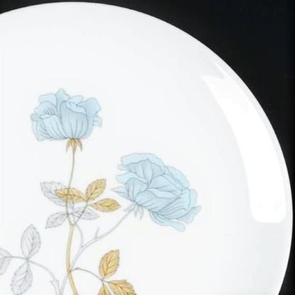 Picture of Dinner Plates