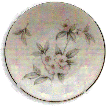 Picture of Dinner Plates