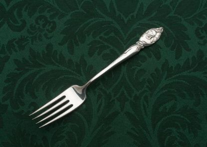 Picture of Place Forks