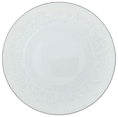 Picture of New Service Plate 12"