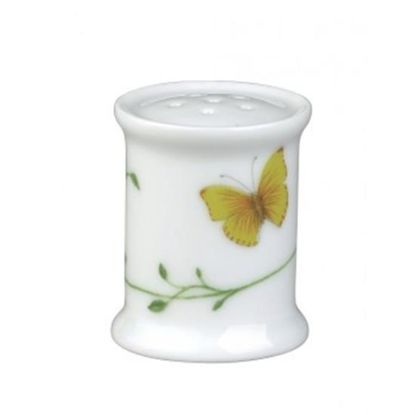 Picture of New Salt Shaker