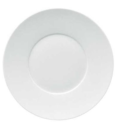 Picture of New Service Plate 12"
