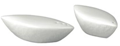 Picture of New Salt Shaker