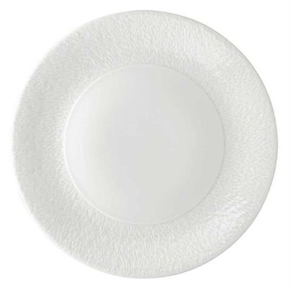 Picture of New Service Plate 12"