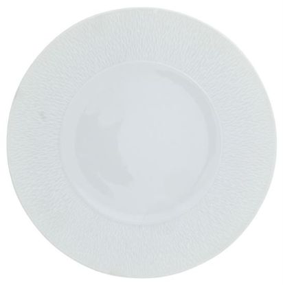 Picture of New Service Plate 12"