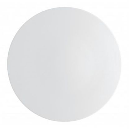 Picture of New Service Plate 12"
