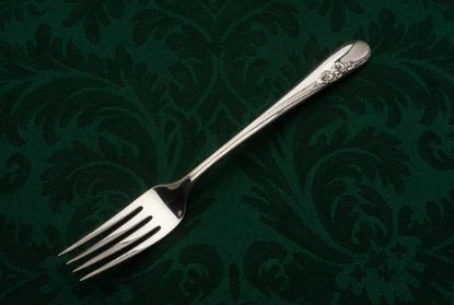 Picture of Place Forks