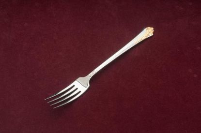 Picture of Place Forks: