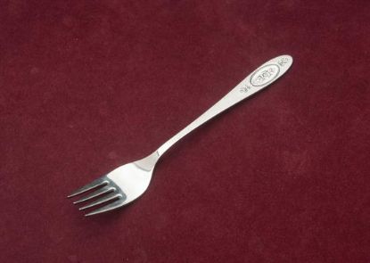 Picture of Place Forks: