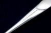 Picture of Table Serving Spoon