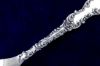 Picture of Sauce Ladle