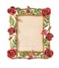 Picture of Jay Strongwater Jane Frame - Poppy
