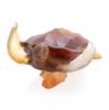 Picture of Daum Coral Sea Large Amber Grey Sea Turtle Crystal Figurine