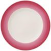 Picture of New Dinner Plate