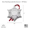 Picture of Wallace 2024 12th Edition Silver Plated Engravable Star Ornament