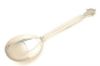 Picture of Berry Serving Spoon
