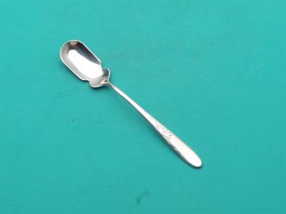 Picture of Relish Scoop