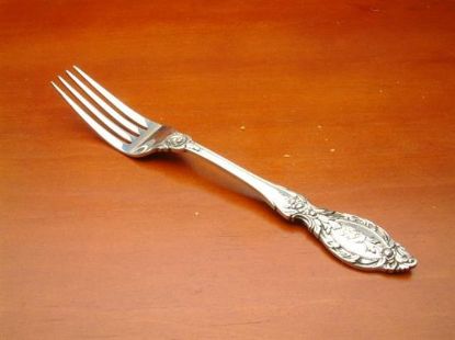 Picture of Place Forks: