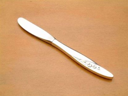 Picture of Butter Spreader (Hollow Handle)