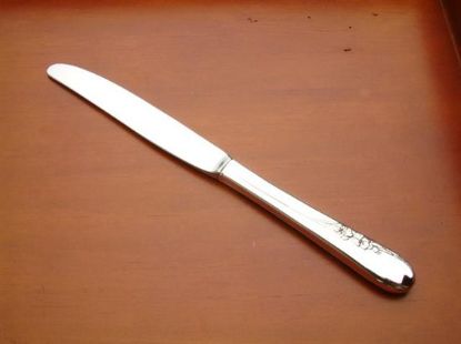 Picture of Modern Hollow Dinner Knife