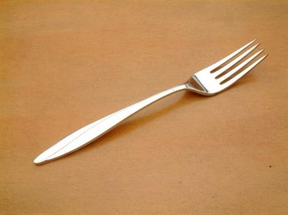 Picture of Place Forks