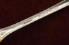 Picture of Mustard Ladle