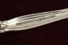 Picture of Olive Fork