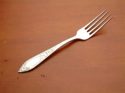 Picture of Place Forks:
