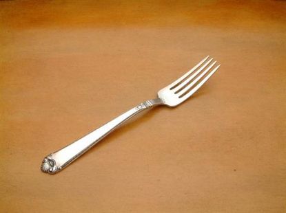 Picture of Place Forks