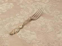 Picture of Place Forks