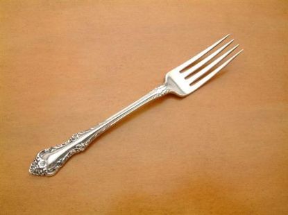 Picture of Place Forks