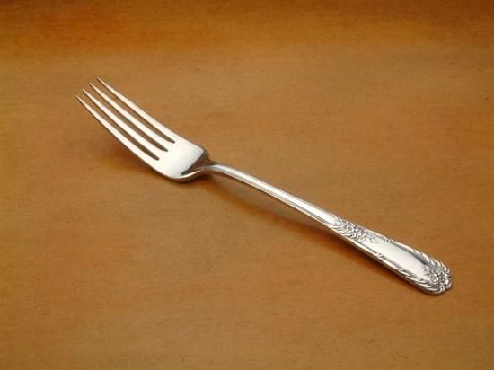 Picture of Place Forks: