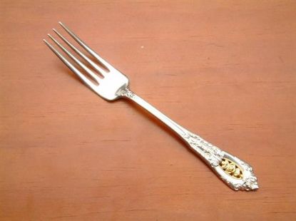 Picture of Place Forks: