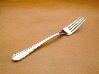 Picture of Place Forks: