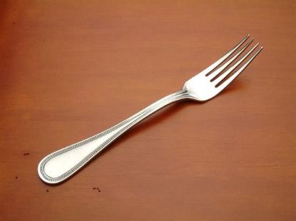 Picture of Place Forks: