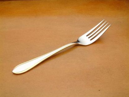 Picture of Place Forks: