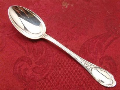 Picture of New Place Spoons