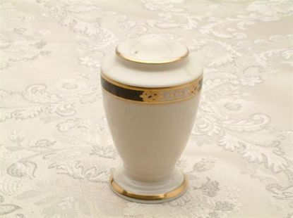 Picture of New Salt Shaker
