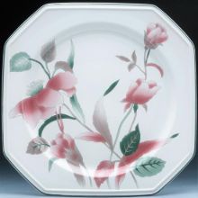Picture of Dinner Plates