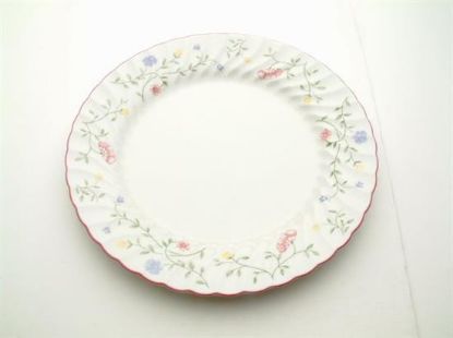 Picture of Dinner Plates