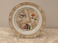 Picture of Salad Plates