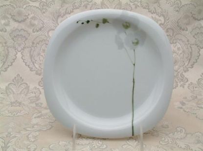 Picture of New Salad Plates