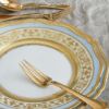 Picture of New Dinner Plate