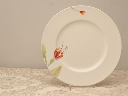 Picture of Dinner Plates
