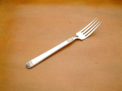 Picture of Place Forks