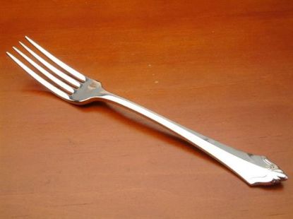 Picture of Place Forks